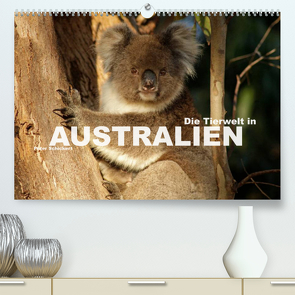 Die Tierwelt in Australien (Premium, hochwertiger DIN A2 Wandkalender 2023, Kunstdruck in Hochglanz) von Schickert,  Peter