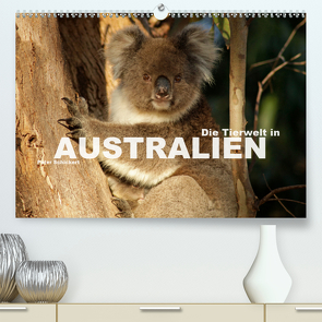 Die Tierwelt in Australien (Premium, hochwertiger DIN A2 Wandkalender 2020, Kunstdruck in Hochglanz) von Schickert,  Peter