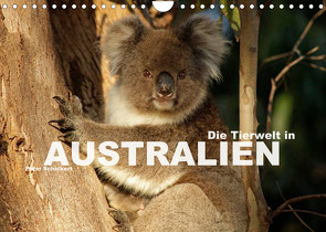 Die Tierwelt in Australien (Wandkalender 2022 DIN A4 quer) von Schickert,  Peter