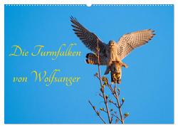 Die Turmfalken von Wolfsanger (Wandkalender 2024 DIN A2 quer), CALVENDO Monatskalender von Martin (GDT),  Wilfried