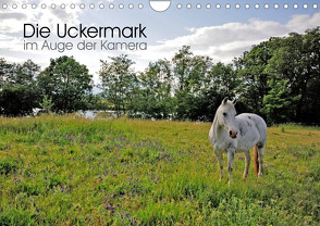 Die Uckermark im Auge der Kamera (Wandkalender 2024 DIN A4 quer), CALVENDO Monatskalender von Roletschek,  Ralf