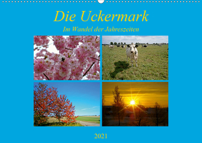 Die Uckermark im Wandel der Jahreszeiten (Wandkalender 2021 DIN A2 quer) von Mellentin,  Andreas