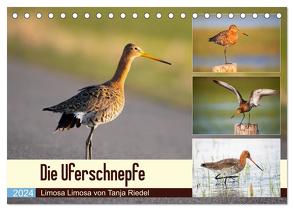 Die Uferschnepfe Limosa limosa (Tischkalender 2024 DIN A5 quer), CALVENDO Monatskalender von Riedel,  Tanja