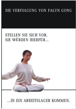 Die Verfolgung von Falun Gong von Hoerth,  Manuel