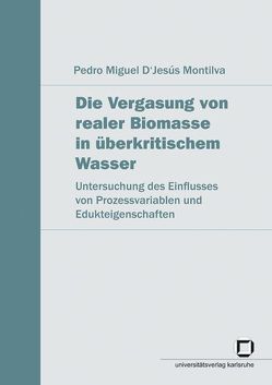 Die Vergasung von realer Biomasse in überkritischem Wasser von D'Jesús Montilva,  Pedro M