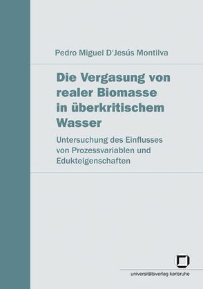 Die Vergasung von realer Biomasse in überkritischem Wasser von D'Jesús Montilva,  Pedro M