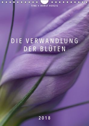 Die Verwandlung der Blüten (Wandkalender 2018 DIN A4 hoch) von + Horst Herzig,  Tina