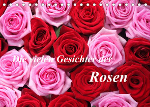 Die vielen Gesichter der Rosen (Tischkalender 2023 DIN A5 quer) von Kruse,  Gisela