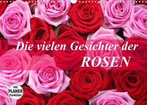 Die vielen Gesichter der Rosen (Wandkalender 2022 DIN A3 quer) von Kruse,  Gisela