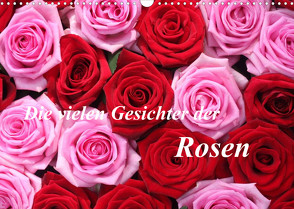 Die vielen Gesichter der Rosen (Wandkalender 2022 DIN A3 quer) von Kruse,  Gisela