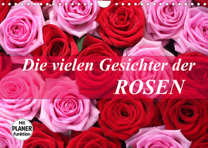 Die vielen Gesichter der Rosen (Wandkalender 2022 DIN A4 quer) von Kruse,  Gisela