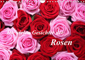 Die vielen Gesichter der Rosen (Wandkalender 2022 DIN A4 quer) von Kruse,  Gisela