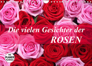 Die vielen Gesichter der Rosen (Wandkalender 2023 DIN A4 quer) von Kruse,  Gisela