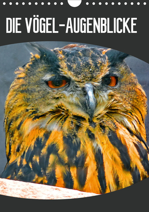 DIE VÖGEL – AUGENBLICKE (Wandkalender 2020 DIN A4 hoch) von J.Fryc