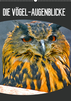 DIE VÖGEL – AUGENBLICKE (Wandkalender 2021 DIN A2 hoch) von J.Fryc