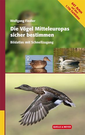 Die Vögel Mitteleuropas sicher bestimmen von Fiedler,  Wolfgang