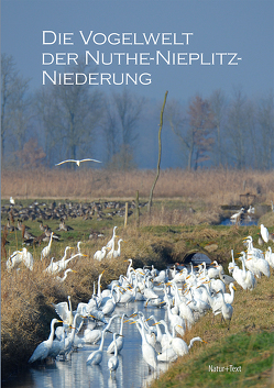 Die Vogelwelt der Nuthe-Nieplitz-Niederung von Kalbe,  Lothar, Koch,  Peter, Suckow,  Wolfgang