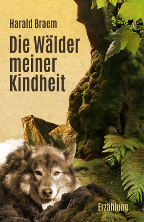 Die Wälder meiner Kindheit von Braem,  Harald