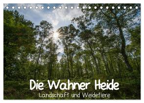 Die Wahner Heide – Landschaft und Weidetiere (Tischkalender 2024 DIN A5 quer), CALVENDO Monatskalender von Peeh,  Doro