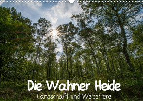 Die Wahner Heide – Landschaft und Weidetiere (Wandkalender 2023 DIN A3 quer) von Peeh,  Doro