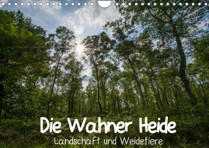 Die Wahner Heide – Landschaft und Weidetiere (Wandkalender 2023 DIN A4 quer) von Peeh,  Doro