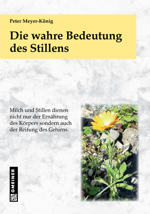 Die wahre Bedeutung des Stillens von Meyer-König,  Peter