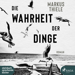 Die Wahrheit der Dinge von Schäfer,  Herbert, Thiele,  Markus