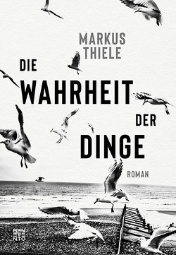 Die Wahrheit der Dinge von Thiele,  Markus