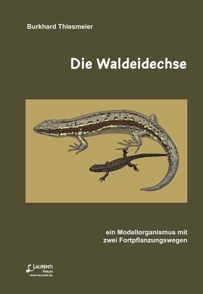 Die Waldeidechse von Thiesmeier,  Burkhard