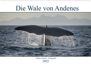 Die Wale von Andenes (Wandkalender 2022 DIN A2 quer) von Leimer,  Stefan