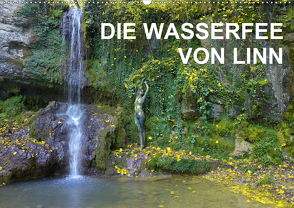 DIE WASSERFEE VON LINNCH-Version (Wandkalender 2021 DIN A2 quer) von Lara & fru.ch,  Romana