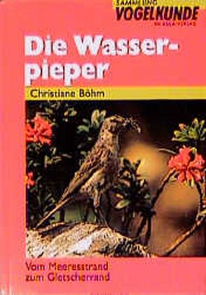 Die Wasserpieper von Böhm,  Christiane