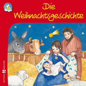 Die Weihnachtsgeschichte von Schwandt,  Susanne