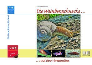 Die Weinbergschnecke und ihre Verwandten von Kattmann,  Ulrich