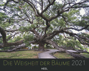 Die Weisheit der Bäume 2021