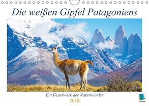Die weißen Gipfel Patagoniens (Wandkalender 2018 DIN A4 quer) von CALVENDO