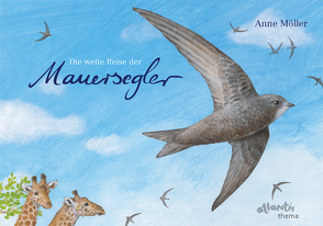 Die weite Reise der Mauersegler von Möller,  Anne