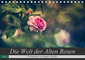 Die Welt der Alten Rosen (Tischkalender 2021 DIN A5 quer) von Steudte,  Regina