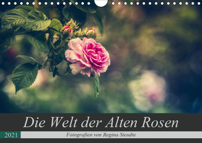 Die Welt der Alten Rosen (Wandkalender 2021 DIN A4 quer) von Steudte,  Regina