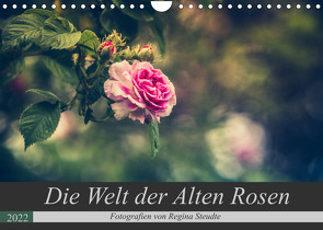 Die Welt der Alten Rosen (Wandkalender 2022 DIN A4 quer) von Steudte,  Regina