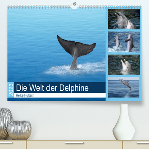 Die Welt der Delphine (Premium, hochwertiger DIN A2 Wandkalender 2023, Kunstdruck in Hochglanz) von Hultsch,  Heike