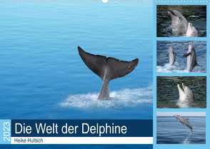 Die Welt der Delphine (Wandkalender 2023 DIN A2 quer) von Hultsch,  Heike