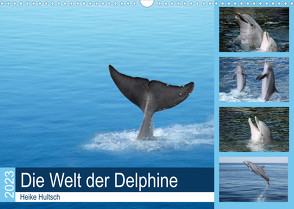 Die Welt der Delphine (Wandkalender 2023 DIN A3 quer) von Hultsch,  Heike