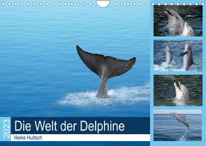 Die Welt der Delphine (Wandkalender 2023 DIN A4 quer) von Hultsch,  Heike