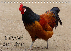 Die Welt der Hühner (Tischkalender 2023 DIN A5 quer) von kattobello