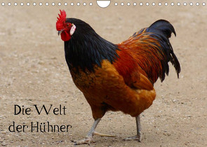 Die Welt der Hühner (Wandkalender 2023 DIN A4 quer) von kattobello