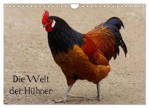 Die Welt der Hühner (Wandkalender 2024 DIN A4 quer), CALVENDO Monatskalender von Kattobello,  Kattobello