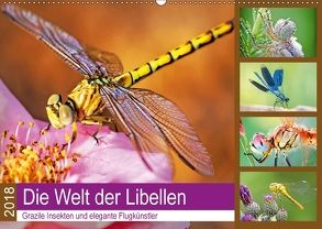 Die Welt der Libellen (Wandkalender 2018 DIN A2 quer) von CALVENDO