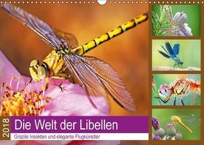 Die Welt der Libellen (Wandkalender 2018 DIN A3 quer) von CALVENDO