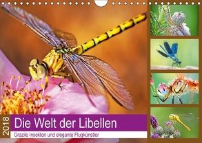 Die Welt der Libellen (Wandkalender 2018 DIN A4 quer) von CALVENDO